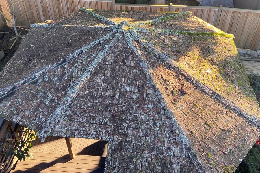 Moss Prevention Roof Treatment