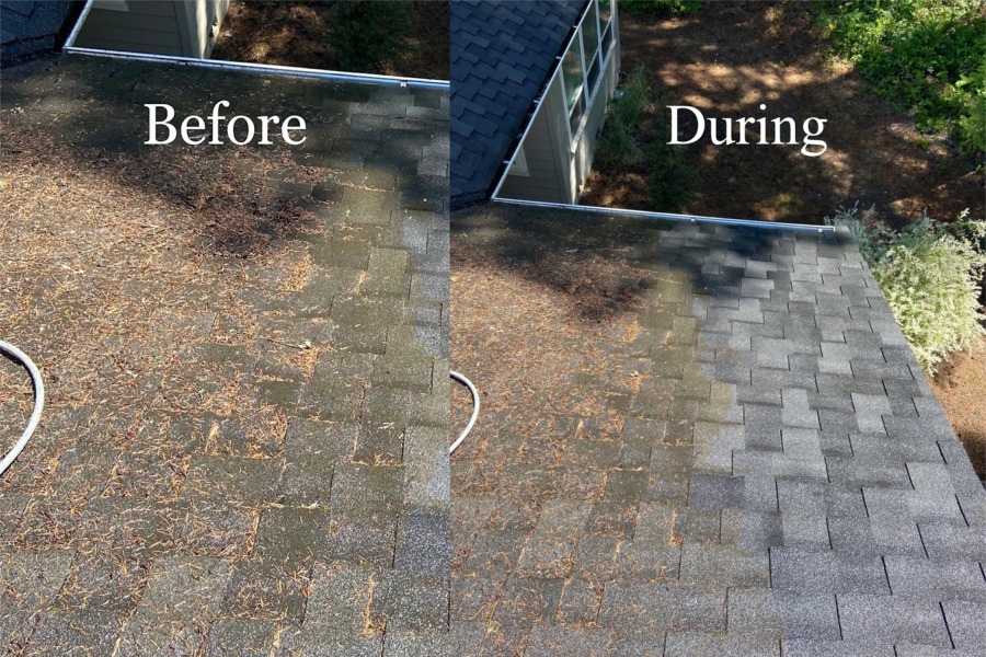 Roof Cleaning